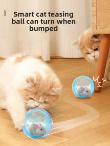 VOA | Interactive Cat Toys - Self-Playing Ball Teaser Stick Durable Dog Toy Obstacle Course Hamster Ball