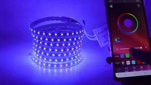 5/10/15/20/30M DIY RGB 5050 LED Light Strip Light With Bluetooth Model IR Remote Controller Remote For Room Bedroom RGB Flexible Light Strip Living Room Decoration