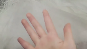 Insect-Proof Mosquito Net Door Curtain Anti Mosquito Insect Fly Bug Bee Window Door Curtain Net Mesh Screen Protector DIY Size  防虫蝇虫蚊帐窗门帘