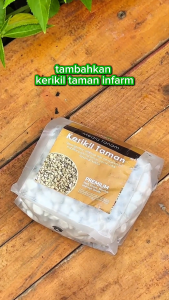 INFARM - Batu Kerikil 500 gr Media Tanam Batu Kerikil Hias Putih Media Tanam Tanaman Hias Kaktus Sukulen Media Tanam Hidroponik Batu Aquarium Batu Hiasan Taman