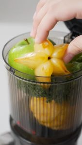 ECOHOME Slow Juicer Simplicity Grid ESJ999SG: Kinerja Optimal untuk Buah