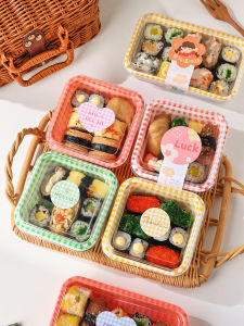 Disposable Picnic Lunch Box & Sushi Packaging Box: Takeaway Dinnerware for Outdoor Events