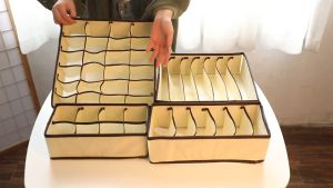 Tempat Celana Dalam Partisi Underware Serbaguna BELI 1 GRATIS 1 COD