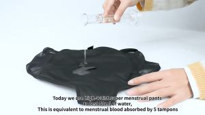Breathable Period Underwear Culotte Menstruelle Leakproof Menstrual Period pantys women sanitary lace panty underwear menstrual Sanitary Napkin Sanitary Pads Sanitary panty style napkin Night Pad menstrual underwear period panties
