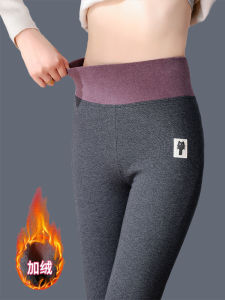 Black Fleece Lined Thickened High Waist Womens Leggings Pure Cotton Warm Trousers for Autumn Winter Wear Underwear Pants