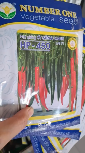 (Gói 5gr) Hạt Giống Ớt Sừng Xanh Lai F1 HP-450 NUMBER ONE - Ớt xanh giòn ngọt KHÔNG CAY