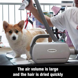 KEGEMA 2800W Pet Dryer Blower 2-Speed Adjustable High Power Dog Cat Hair Dryer with Accessories for Pet Grooming