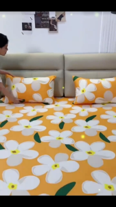 【New Arrival】 3 in 1 Bedsheet Full Garterized Sheet and Pillowcase