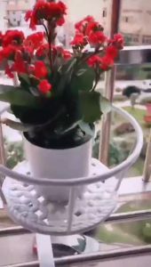 Buy 1 get 1 Garden Hanging Plant Iron Racks Balcony Plant Stand Flower Pot Holder Plant Rack Iron Hanging plant rack Flower Pot Rack Multifunctional Plant Stand Round Flower Pot Stand Great for Patio Balcony Porch Fence for Patio Balcony Porch Fence Holde