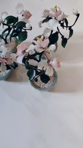High Quality Jade Bonsai / Bringing Lucky & Money & prosperity