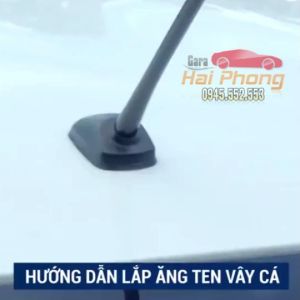 VÂY CÁ MẬP CÓ ĐẾ GIOĂNG CAOSU CHỐNG VÀO NƯỚC 8 MÀU