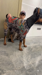 【READY STOCK】Pet Tattoo Clothing/Insect Bite Protection/Anti-Dander Breathable/All Seasons/Four-Legged Coat/Pet Clothing