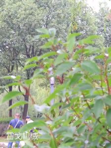 Pelindung Rumput Cover Plastik Untuk Aksesoris Mesin Pemotong Rumput Power Tool