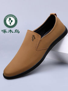Woodpecker Mens Shoes Spring New Arrival Mens Casual Leather Shoes Genuine Leather Easiest for Match Slip-on Soft Leather Soft Bottom Dad Shoes
