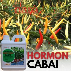 Pupuk Organik cairPupuk hormon pelebat buah cabaiPupuk hormon penyubur tanaman cabaiPupuk cabai