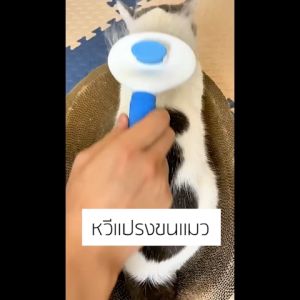 Bigmall หวีกำจัดขนสัตว์ หวีแปรงขนแมว มีปุ่มกดเพื่อดันขนออก ใช้ได้ทั้งแมวและสุนัข No.Y1998