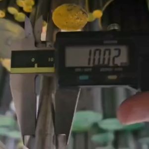 Stainless Steel 304 10 mm: Desain & Kinerja Tinggi