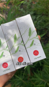 Son dưỡng môi Pơ Lang có màu 3.5g dưỡng môi từ trái bơ an toàn cho mẹ bầu và trẻ nhỏ