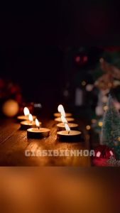 Hộp 50 Viên Sáp Nến Tea Lights Nhiều Màu Đường Kính 3Cm