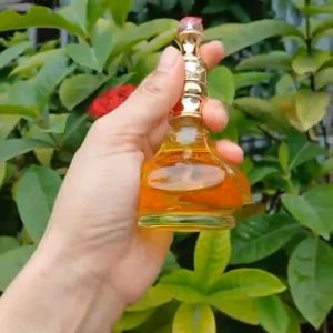 Nước hoa nữ Công ty Vipa 21 hương phấn nhẹ dịu lưu hương tốt 50ml