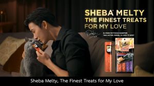 Sheba Melty Creamy Cat Treat Puree Lickable Liquid Cat Snack 48G