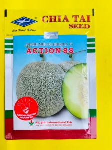 Benih Melon Hibrida F1 ACTION 88 dari Bisi Isi 10g