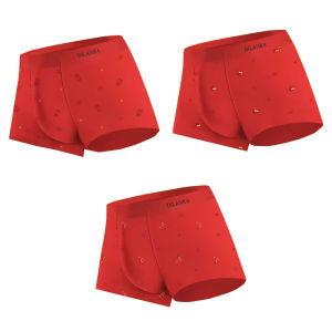 Dilanka Modal Mens Underwear Red Seamless Boxer Shorts Chinese Zodiac Year Youth mid Waist Briefs Comfortable Breathable