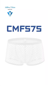 Mens Boxer: Net Boxer Trunks (CMF575)