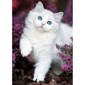 Full Diamond Painting "Animal Cat" Resin Drill Embroidery 5D Diy Diamond Painting Handmade Cross Stitch Gift