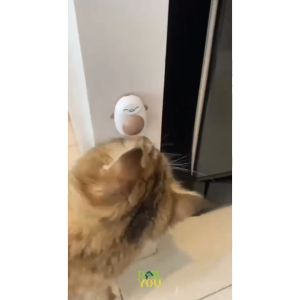 Catnip Balls Anti Stress Tempel Karakter Penguin Tikus Camilan Kucing Mainan