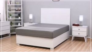 Zippered Bedbug Mattress Protector Waterproof Mattress Cover Premium Quality Hypoallergenic Bed Encasement