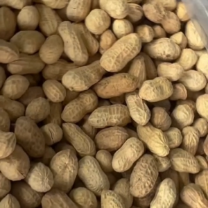 Sung Sung Imported Nuts (Dried Peanut)