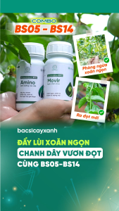 Combo BS05 Movir BS14 Amino Trị Xoăn Đọt Xoắn Lá Khảm Lá Sượng Trái Trên Rau Màu - Bác Sĩ Cây Xanh