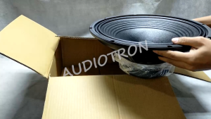 Atomic Nuclear NUC 15 PA 750W Instrumental Speaker