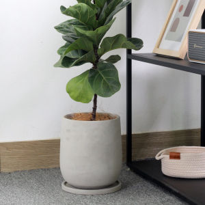 Creative Personal Large Plant Pot