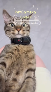 กล้องปลอกคอสัตว์เลี้ยง Full HD 1080P ไร้สาย  Pet Camera Collar กล้องกีฬา กล้องแมว กล้องหมา Choker ปลอกคอสุนัขติดตามพร้อมบันทึกวิดีโอ