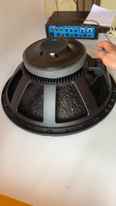 Loa bass 50 RC từ 220 côn 100 hàng nhập Thai - công suất lớn - giá 1 cái