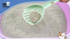 MIG PETCARE Cat Litter 5L: A Comprehensive Guide