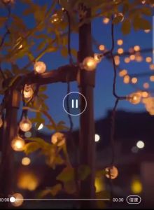 DÂY ĐÈN TRANG TRÍ NOEL TẾT LED Bi Bọt 9M - 40 bóng