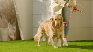 【TOP SELLING】Dreame H13 FlexReach / H14 Ultra / H14s Ultra Wet & Dry Cordless Vacuum Cleaner | Hot WaterWash