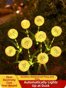 YUANMUXUAN | Solar Colorful Lawn Light