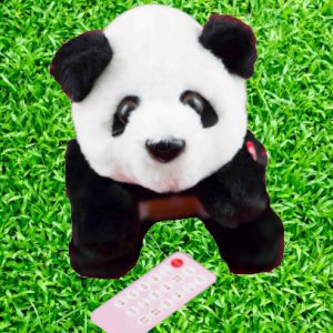 [Hàng sẵn + ảnh thật] Đồ chơi trẻ em gấu trúc di chuyển như thật có remote điều khiển gấu di chuyển