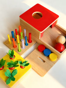 Educational Wooden Shape Matching Puzzle