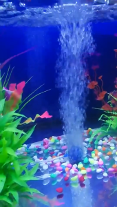 หัวทราย หัวทรายออกซิเจน ออกซิเจนตู้ปลา Air Stone (รุ่น A001/A002/A003/A005/A006/A007/A008/A009/A010/A011) หัวทรายชนิดฟองละเอียดกระจายลมได้ดี