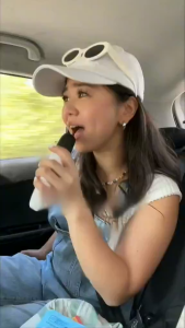 Official BYD microphone  Car microphone for all BYD models factory direct shipping