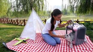 Cat Bag With Large Window Cat Carrier Pet Backpack Cat Bag Pack Transparent Bag Kucing Travel Beg Kucing Besar貓包