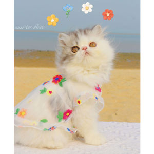 Summer Embroidered Floral Net Dress Thin Pet Dog Princess Skirt Anti-Loss Hair Cute Cat Clothes Pet Supplies Dog Clothing