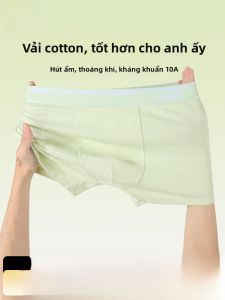 MiiOW | Quần lót nam Catman Pure Cotton thoáng khí kháng khuẩn cỡ lớn quần đùi nam mùa hè 2025 quần lót nam chất liệu cotton