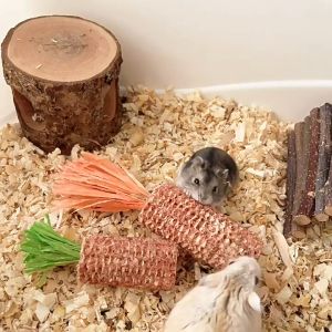 🇸🇬 Small Animal Chew Toy with Corn Cobs and Corn Husks