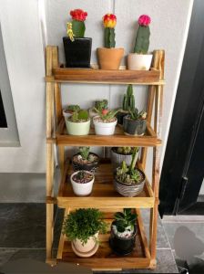 ชั้นวางของวางแคตตัส4ชั้นพับได้ไซร์มินิลงเคลือบเงาป้องกันเชื้อราและรักษาเนื้อไม้กันน้ำกันแดด(ขนาดสูง60ซม กว้าง30ซม )แข็งแรงทนทานน้ำหนักเบาเคลื่อนย้ายง่ายทนแดดทนฝนสินค้ามีพร้อมส่ง สินค้าพร้อมใช้งาน สินค้าเป็นงานไม้สักทองแท้💯